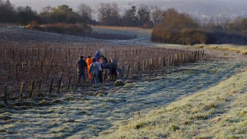 Travail clandestin: un gros coup de filet dans les Landes et le Gers
