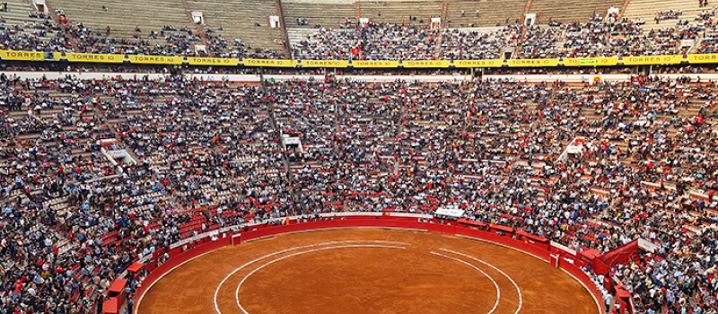 Réouverture des arènes de Mexico : communiqué de la Fédération des Sociétés Taurines de France
