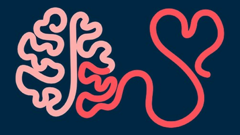 "L'intelligence émotionnelle"