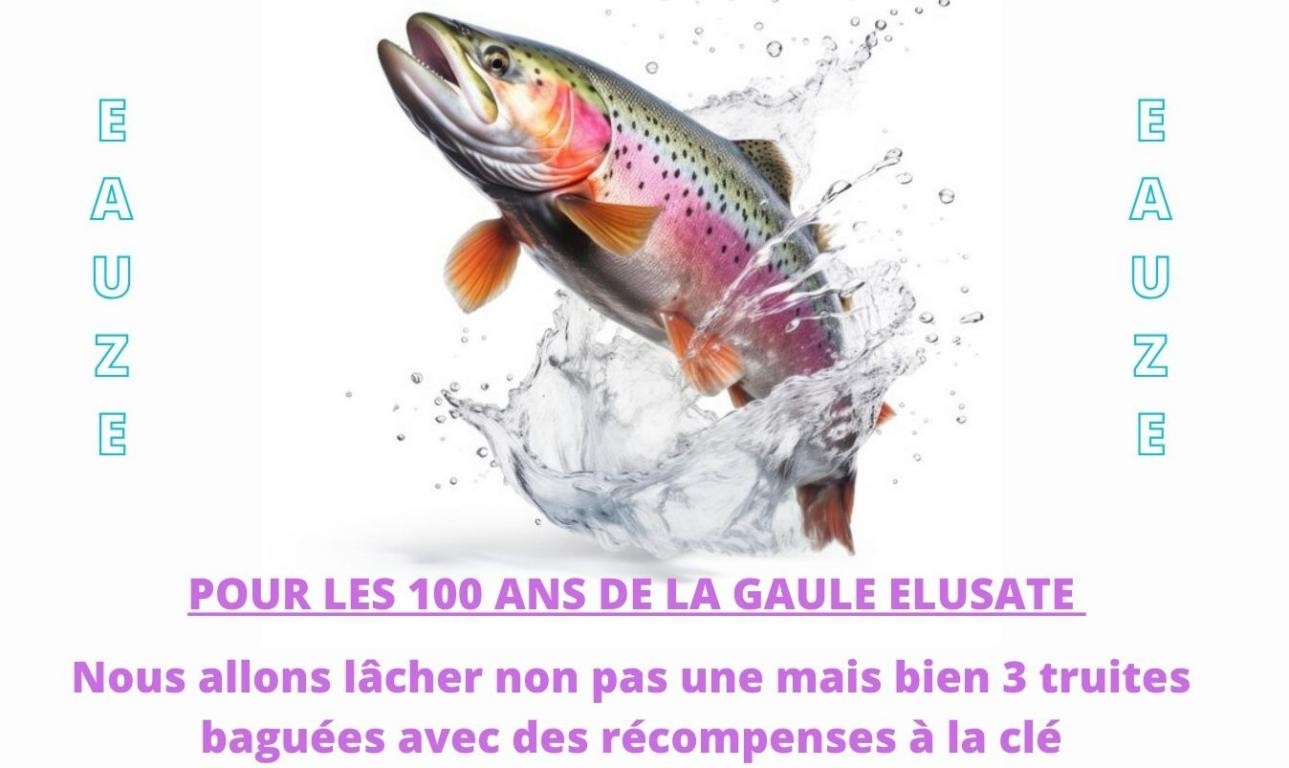 LA TRUITE BAGUÉE FERA SON RETOUR POUR 2024_20240103_18290_9_0000.jpg