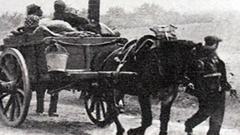 Joseph, histoire d’une migration