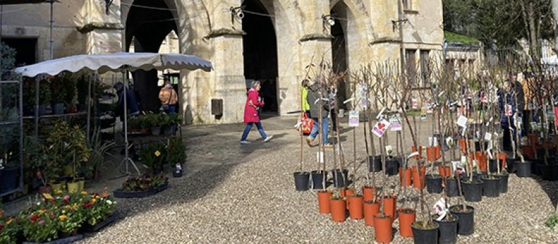 Malgré la météo défavorable le marché de la pépinière confirme son succès