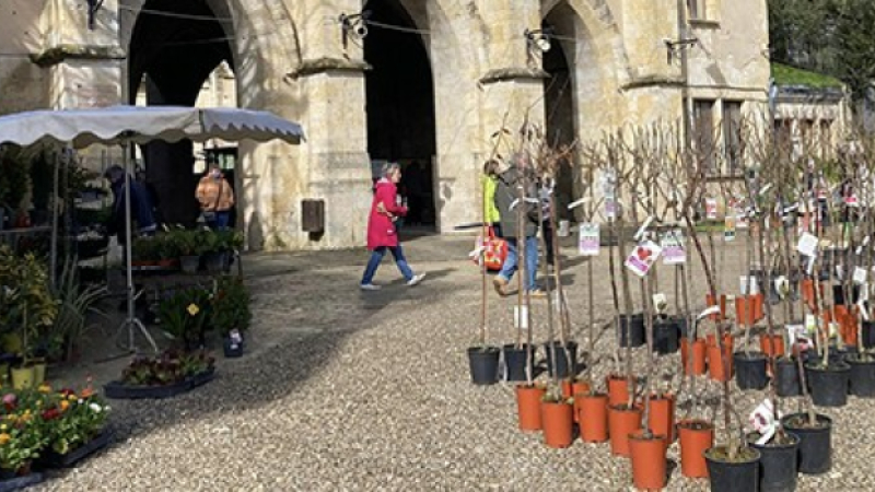 Malgré la météo défavorable le marché de la pépinière confirme son succès