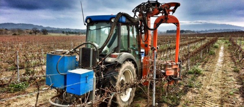 Journée technique sur la taille mécanisée en vigne