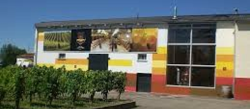 Une cinquantaine de viticulteurs d’Occitanie mettent le cap sur l’Amérique
