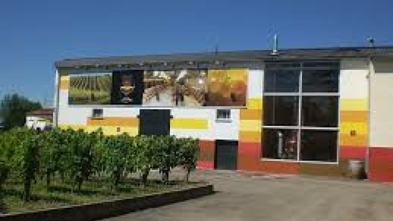 Une cinquantaine de viticulteurs d’Occitanie mettent le cap sur l’Amérique