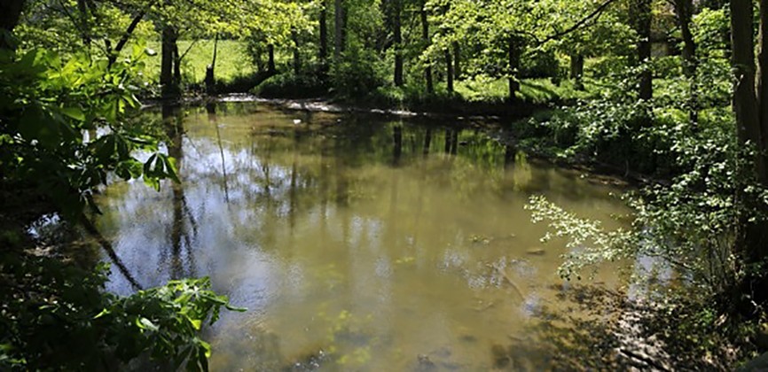 riviere petite.jpg