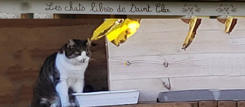 Assemblée Générale de l' association " Les Chats libres de Saint-Clar "