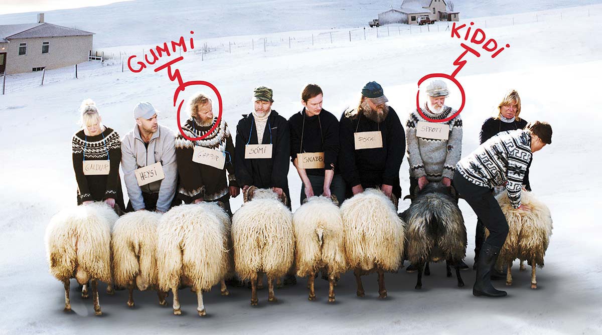 beliers-rams-_hrutar.jpg