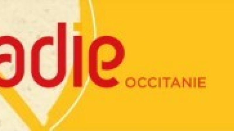 Actus Adie dans le Gers : ateliers avec l'Urssaf Midi-Pyrénées et conférence de presse bilan 2023