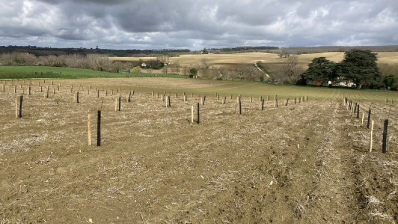 Point sur le projet " Terres Ardentes"