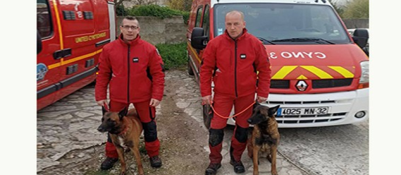 Les chiens de recherche des pompiers gersois dans le Gard