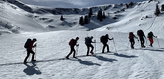 marmotte mars 18.jpg