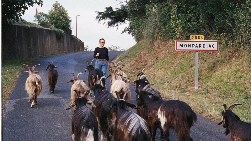 Visite de ferme à Monpardiac avec Les Bô Colis