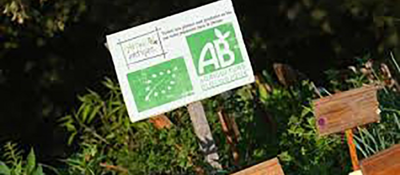 Aides pour les exploitations agricoles biologiques