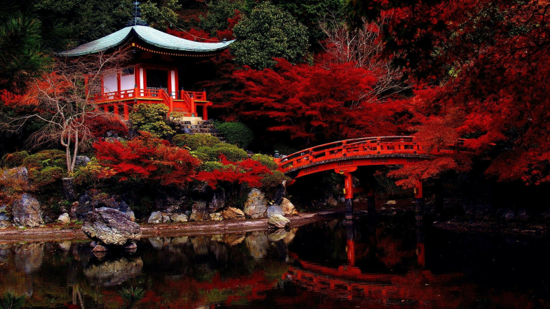 Une découverte de la langue japonaise à La Varangue sur DFM 930 mercredi