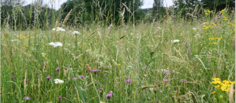 Le Concours des pratiques agro-écologiques revient en 2024 !