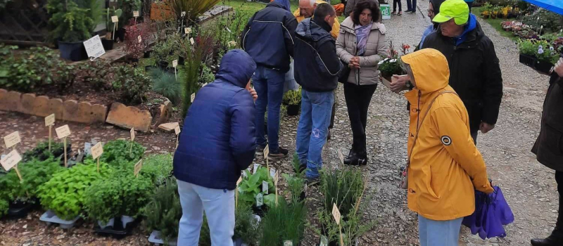 Tillac fête ses 25° floralies le dimanche 7 avril !