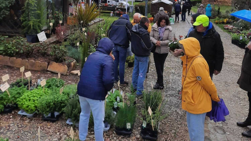 Tillac fête ses 25° floralies le dimanche 7 avril !