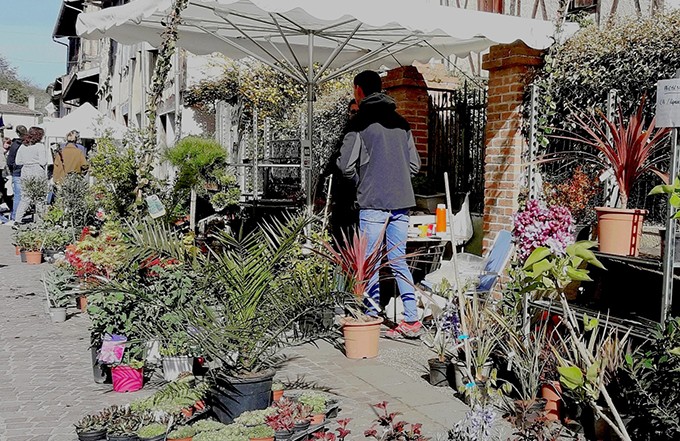 simorre jardin.jpg