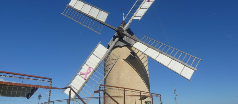 Cette année, les cigognes annoncent la réouverture du moulin