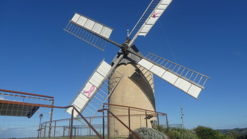 Cette année, les cigognes annoncent la réouverture du moulin