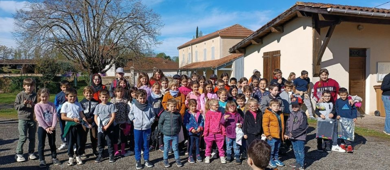 Des oeufs à profusion