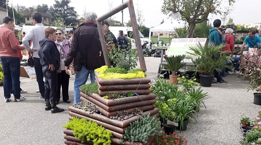 foire aux plantes pavie 24 7 avril.jpg