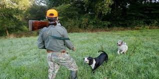 chasseur.jpg