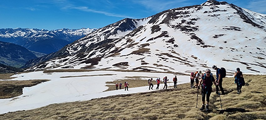 marmotte 1641.jpg