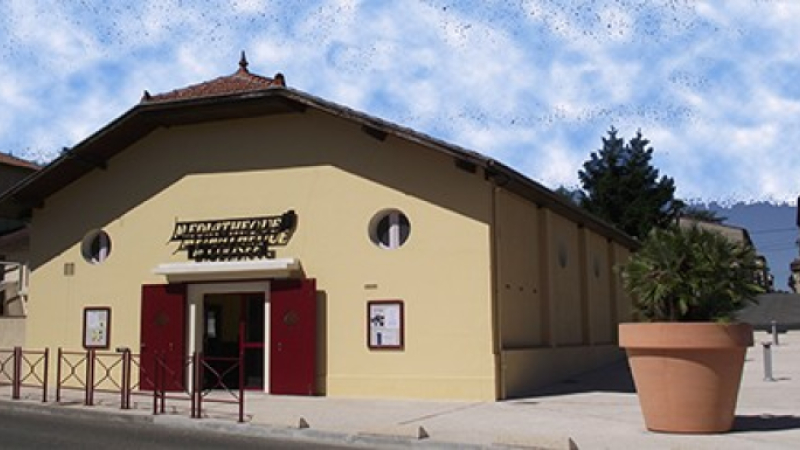 Médiathèque du colisée