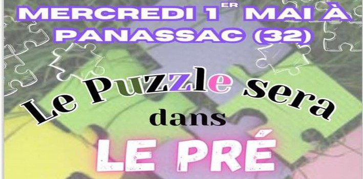 puzzle bando.jpg