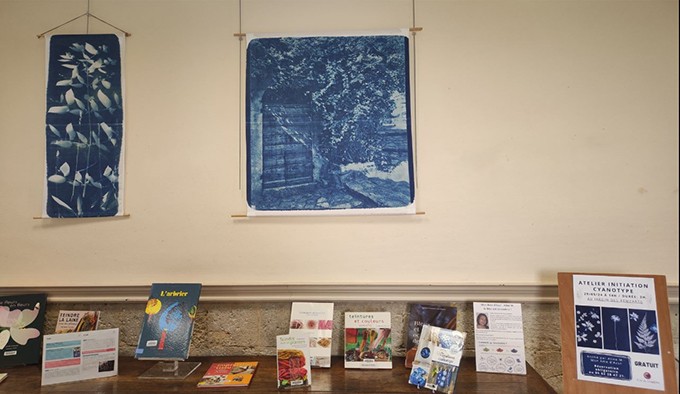 condom mediatheque bleu 2.JPG