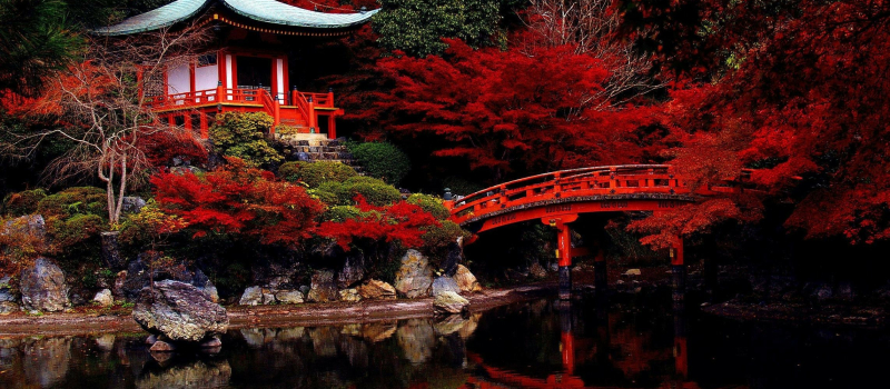 Initiation à la langue japonaise à La Varangue !