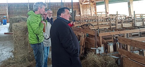 la ferme des Arbolèts à Montegut