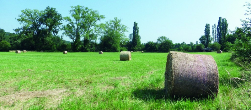 Les associations environnementales ont rencontré le préfet du Gers
