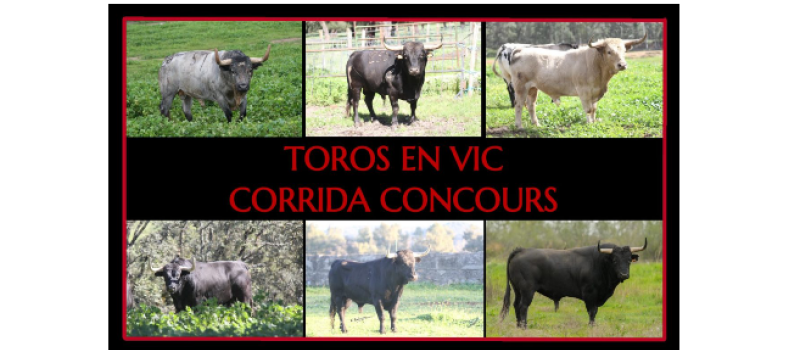 Feria del Toro 2024 : la corrida-concours du dimanche