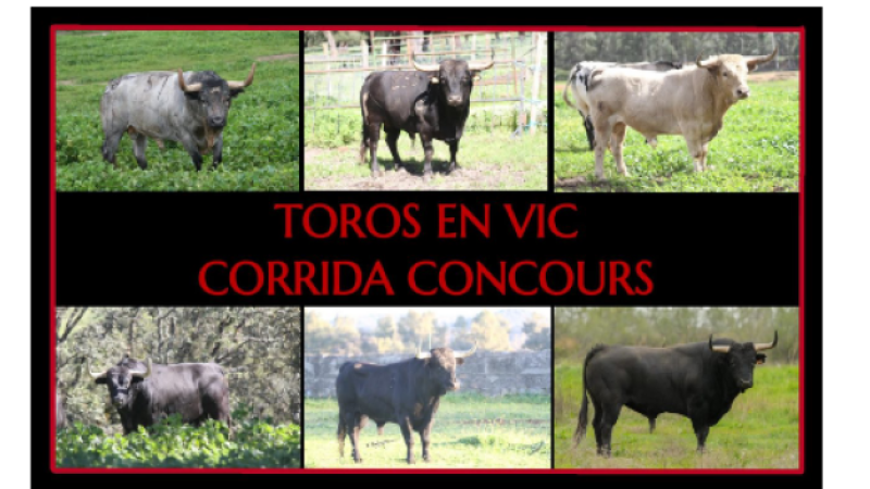 Feria del Toro 2024 : la corrida-concours du dimanche