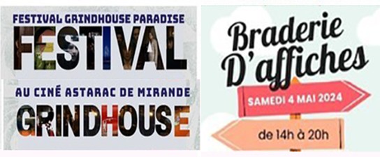 cinema mirande festival.jpg