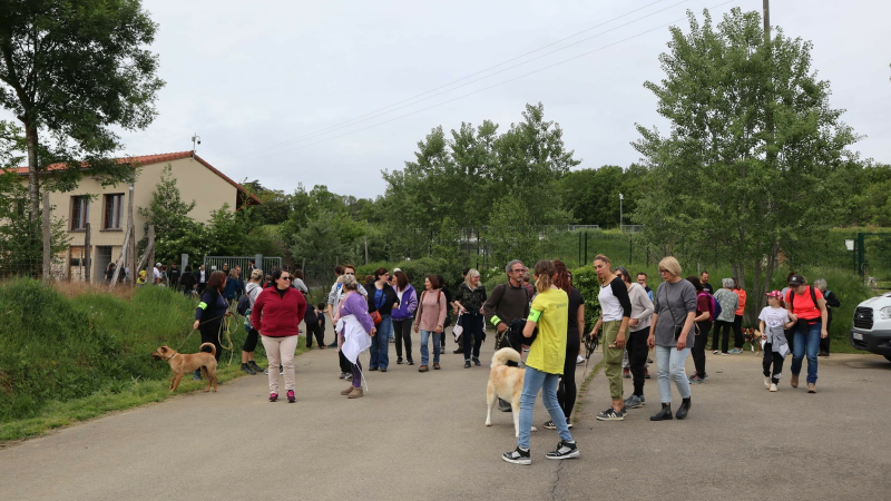 Grande réussite pour la première balade caritative de la SPA du Gers !