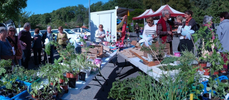 Troc de graines et de plants au marché de Pavie