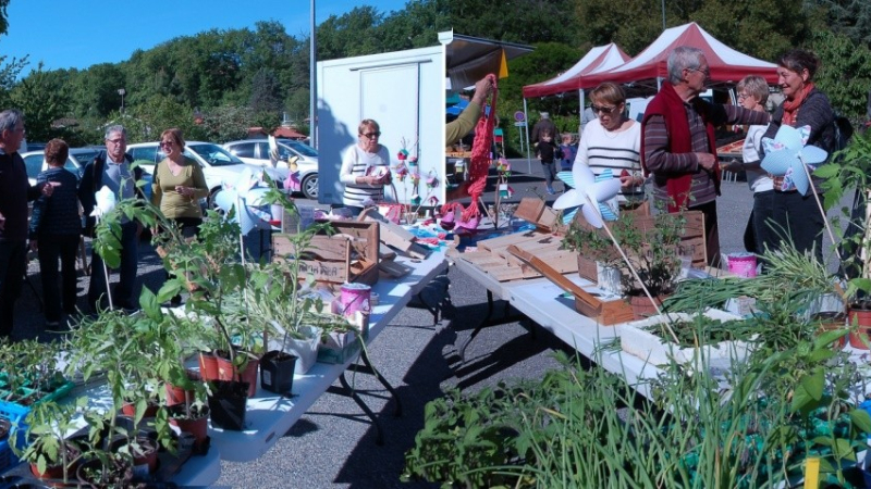Troc de graines et de plants au marché de Pavie