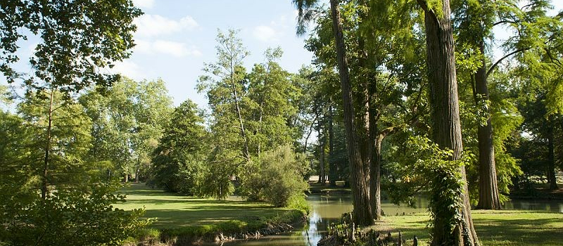 Relais de la Flamme Olympique: le sport et la culture à l’honneur dans le Parc du Département