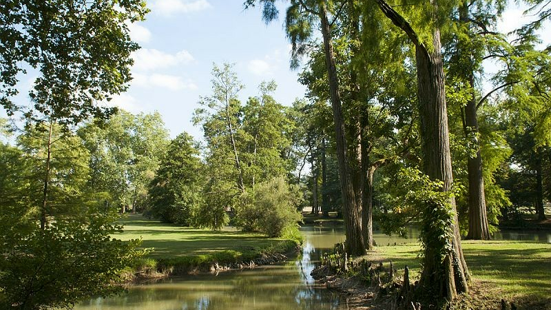Relais de la Flamme Olympique: le sport et la culture à l’honneur dans le Parc du Département