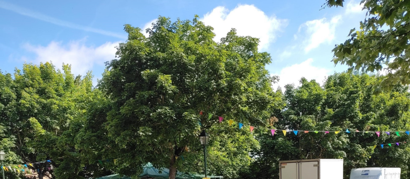 2 jours de Fêtes à ST ELIX D'ASTARAC