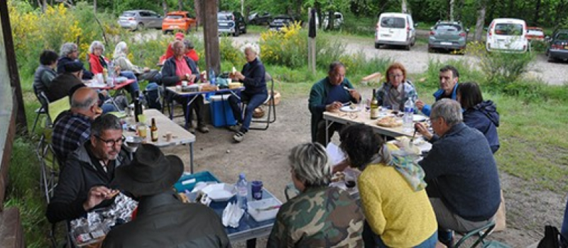 Avec les chercheurs de champignons
