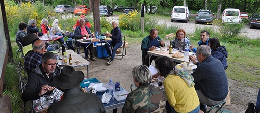 champignons sgm bouconne.jpg