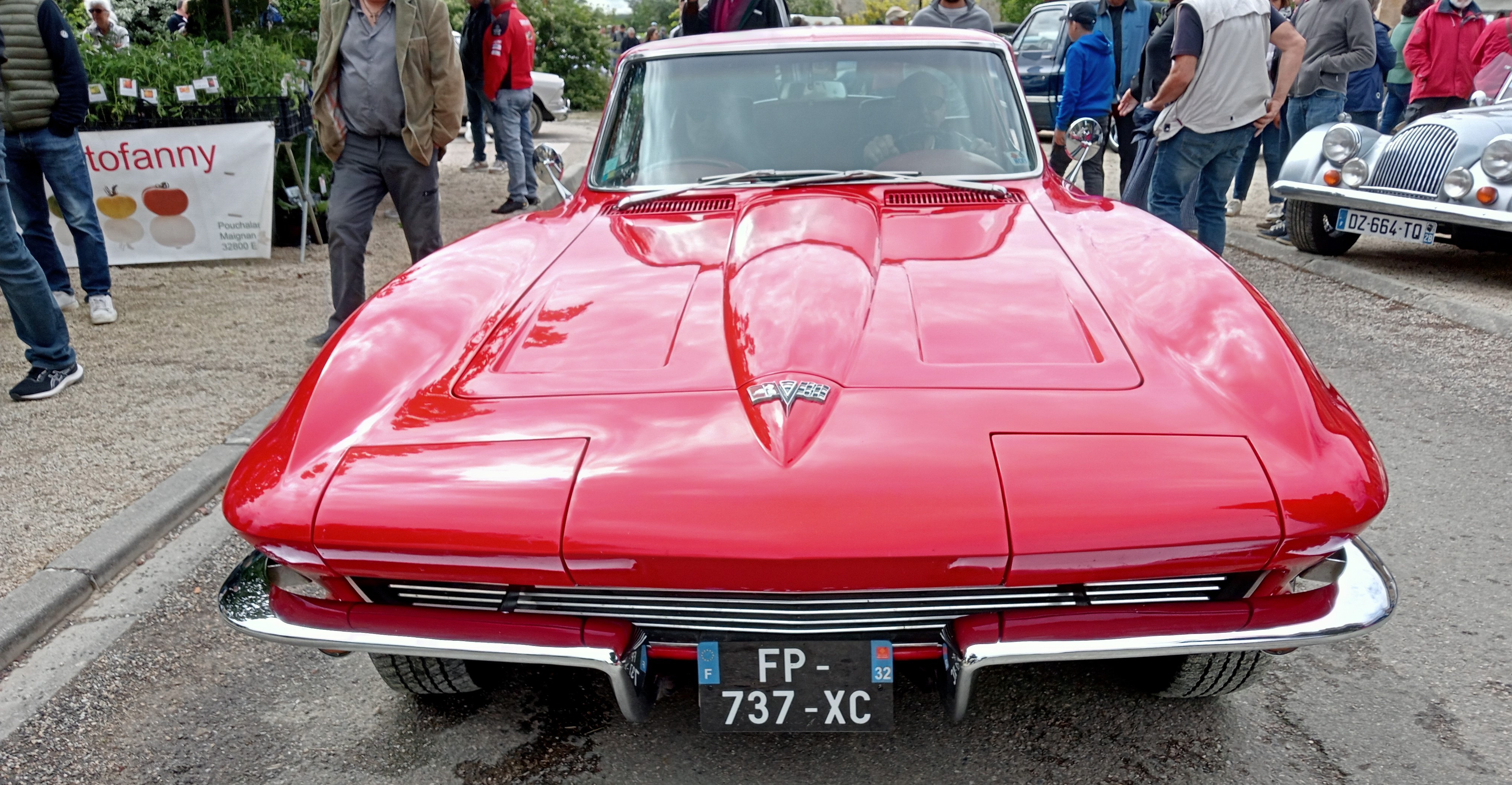 IMG20240520114451 t.jpg