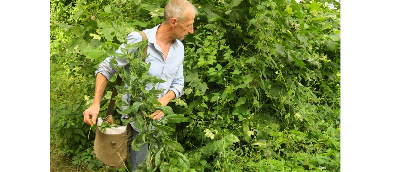 «Les 5 sens au jardin» au Musée du Paysan Gascon de Toujouse