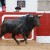 Feria del toro 2024 : deux corridas d'anthologie le dimanche